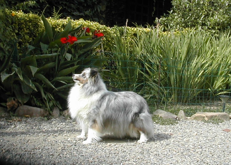 Ushka bleue du Grand Pre D'Ortignac