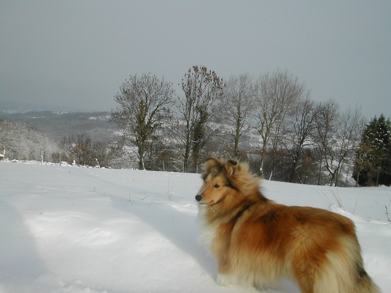 Cloe du Grand Pre D'Ortignac